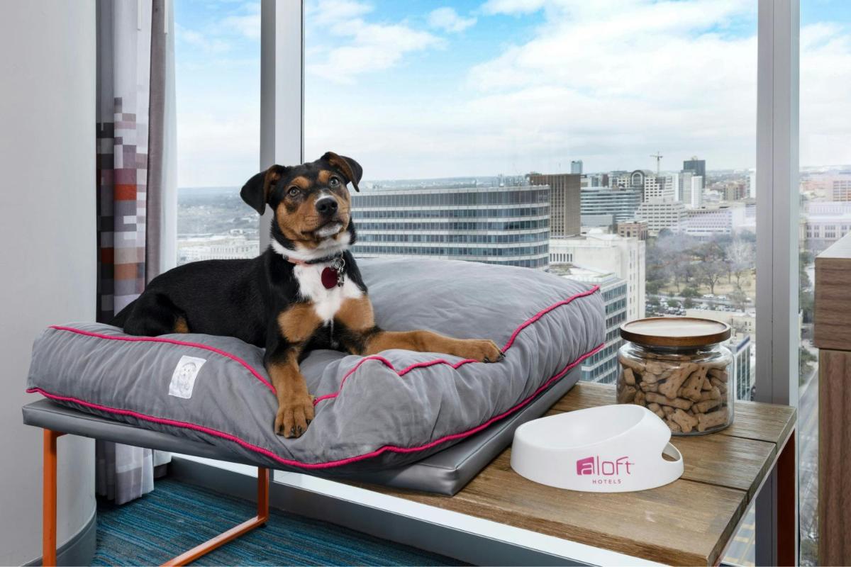 Aloft Austin Downtown - image 5