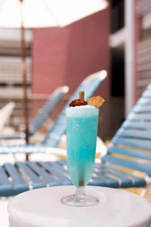 East Austin Hotel - image 34