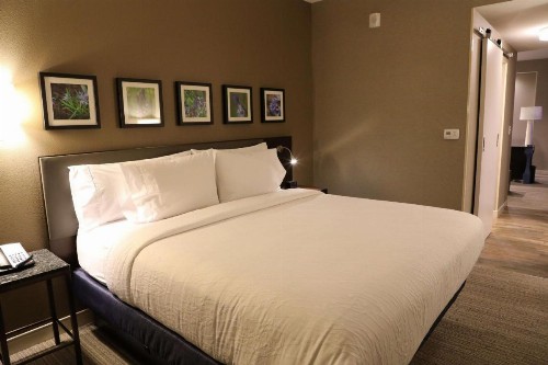 Hilton Garden Inn Austin Airport - image 18