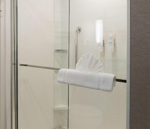 Hilton Garden Inn Austin Airport - image 23