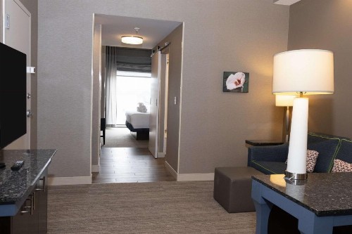 Hilton Garden Inn Austin Airport - image 29