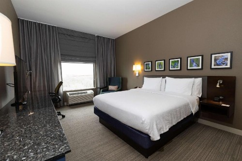 Hilton Garden Inn Austin Airport - image 30