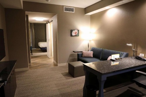 Hilton Garden Inn Austin Airport - image 39