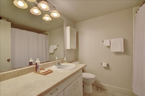 Littlefield Lofts #708 - image 5