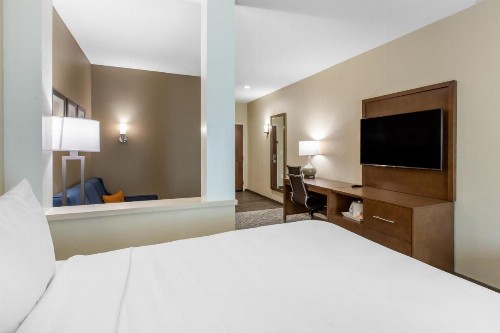Comfort Suites - South Austin - image 11