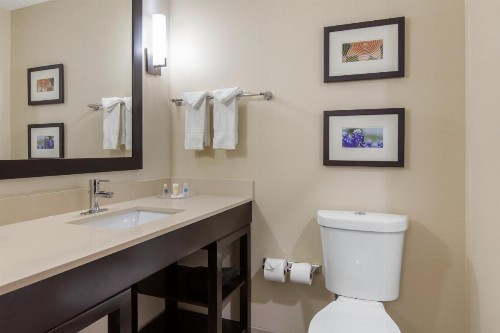 Comfort Suites - South Austin - image 19