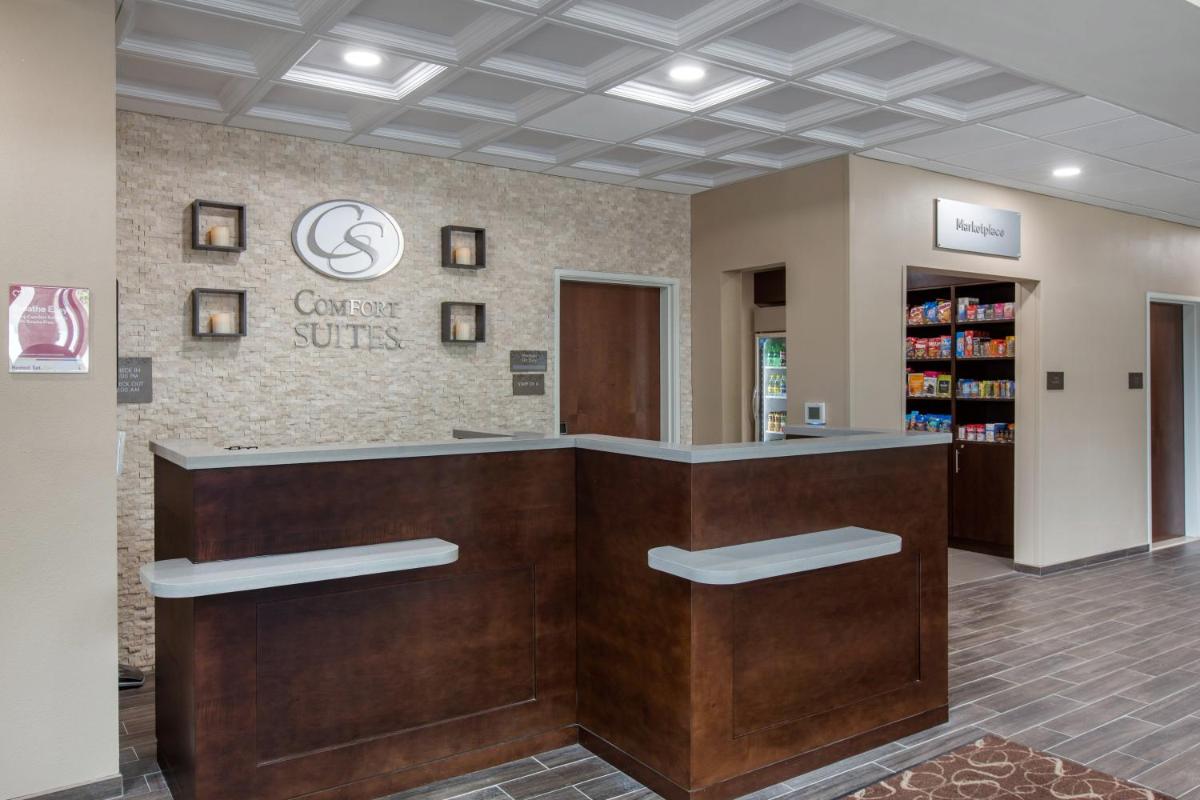 Comfort Suites - South Austin - image 7