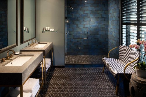 Hotel ZaZa Austin - image 15