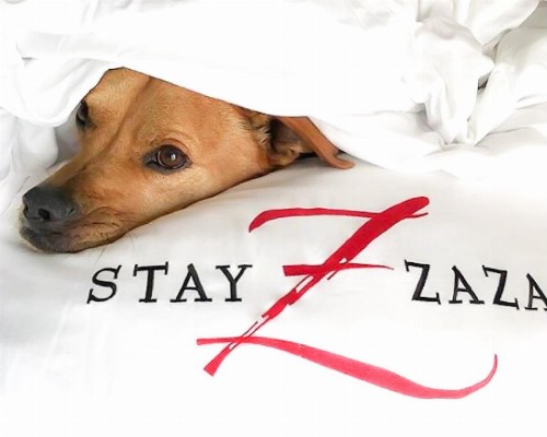 Hotel ZaZa Austin - image 33