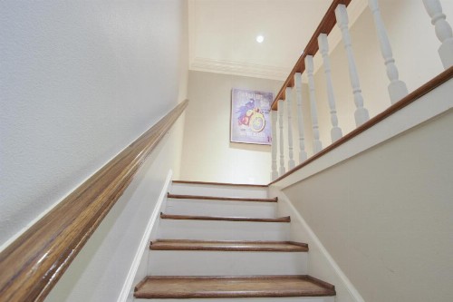 Tarrytown Retreat - image 11
