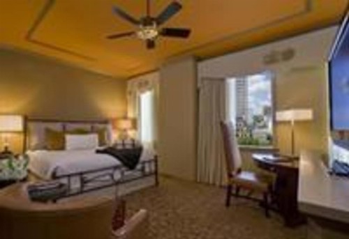 The Driskill - image 1
