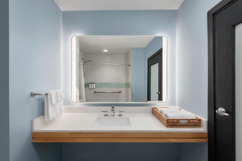 Holiday Inn Resort - Catalina Island an IHG Hotel - image 22
