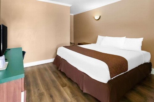 Hollywood Motel - image 27