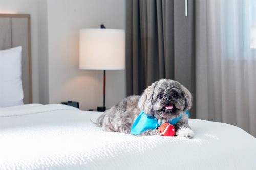 Residence Inn by Marriott Miami Aventura Mall - image 21