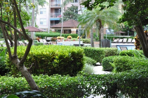 Yacht Club - image 11