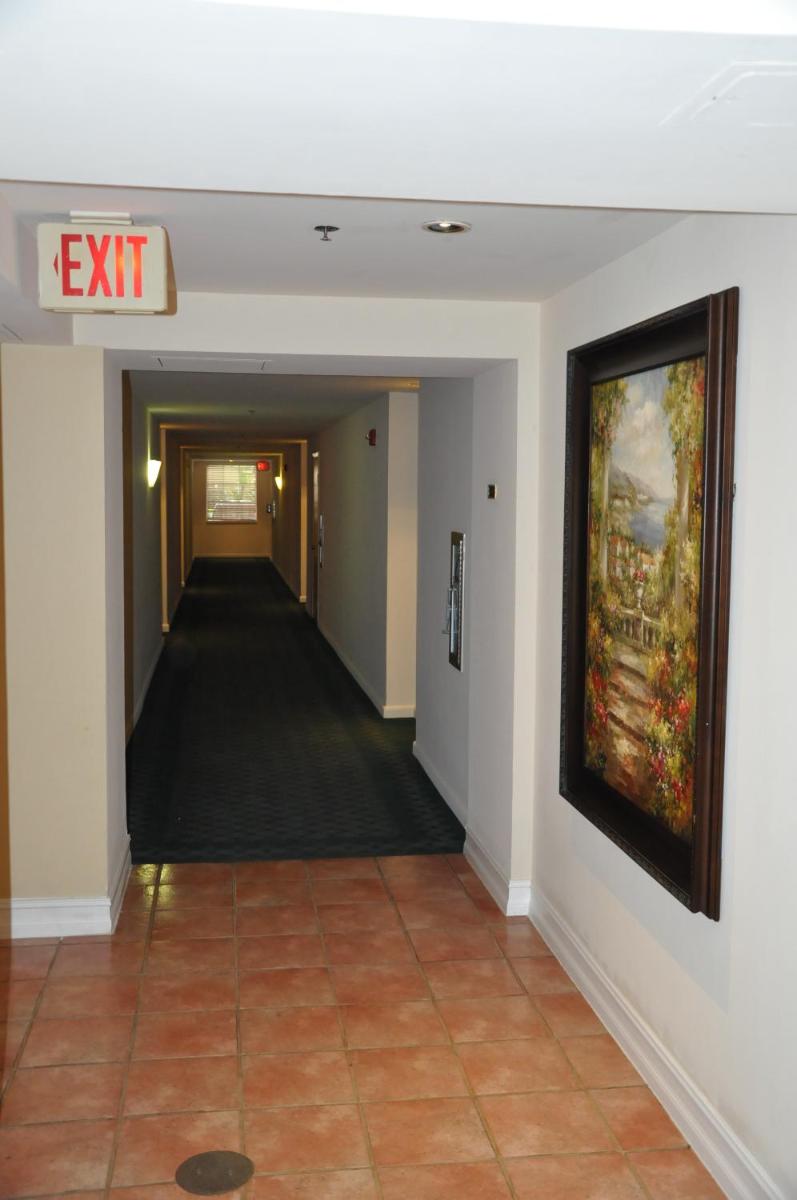 Yacht Club - image 7