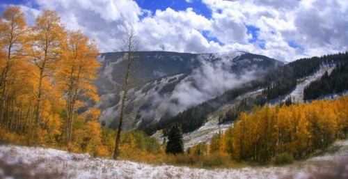 GetAways at Falcon Point Resort - image 31