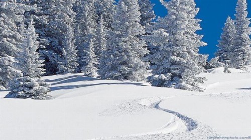 GetAways at Falcon Point Resort - image 32