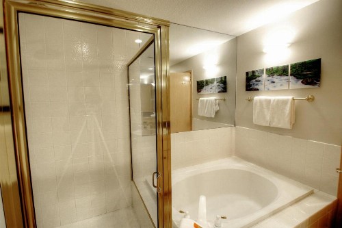 Canyon Run Townhouse F102 - image 12