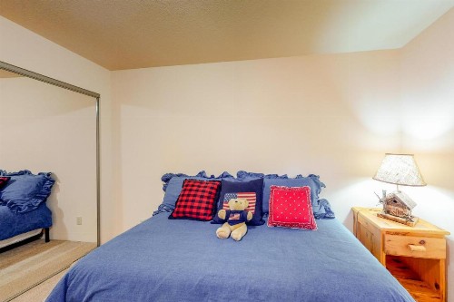 Beaver Creek Condos - image 10
