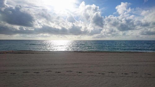 Sea View Hotel - image 3