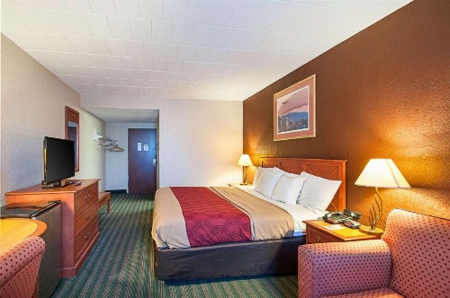 Quality inn near Pimlico Racetrack - image 6