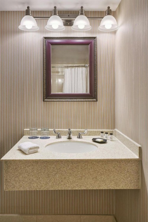 Sheraton Inner Harbor Hotel - image 21