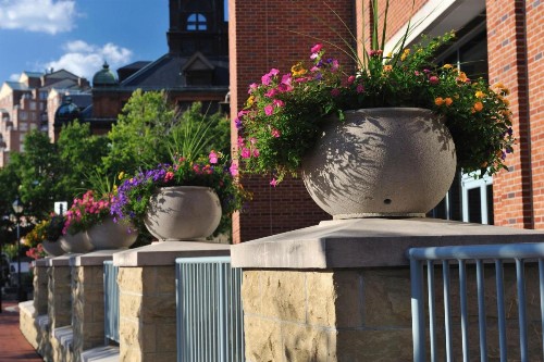 Baltimore Marriott Waterfront - image 50