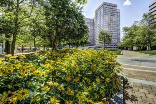 Chase at 39 West - image 10