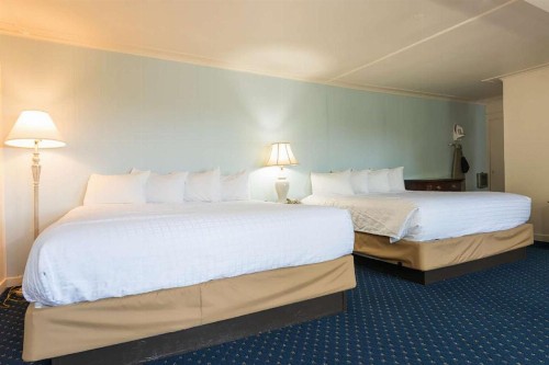 Wonder View Inn - image 5