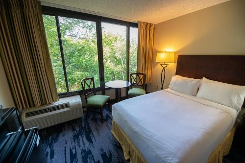 Holiday Inn Bar Harbor Regency Hotel an IHG Hotel - image 20
