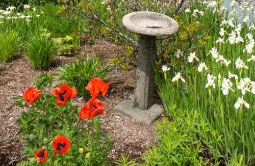 Anne's White Columns Inn - image 41