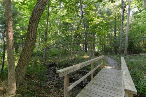 Acadia Inn - image 31