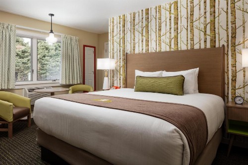 Bar Harbor Motel - image 28