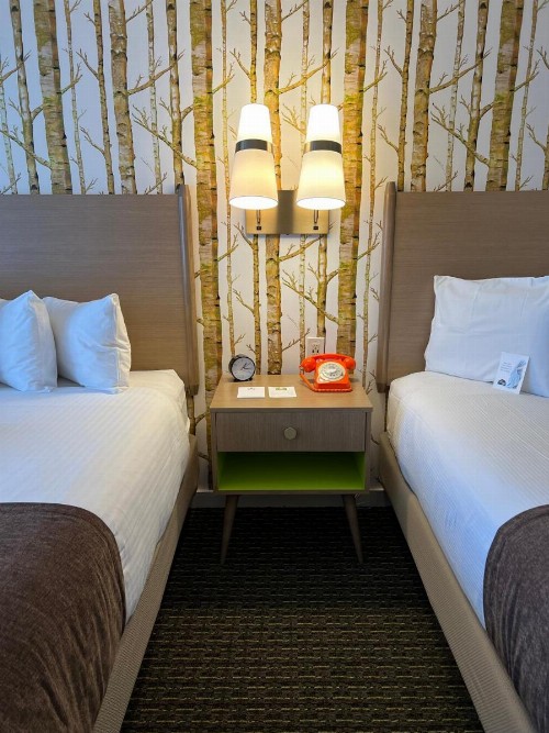 Bar Harbor Motel - image 3