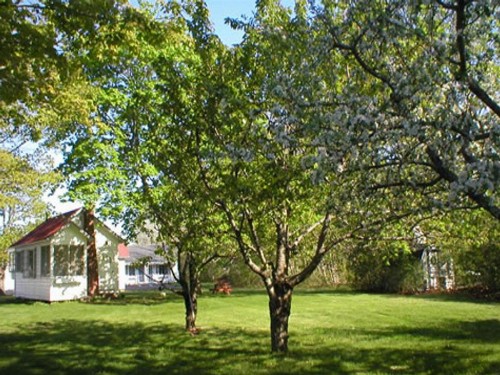 Eden Village Motel and Cottages - image 39