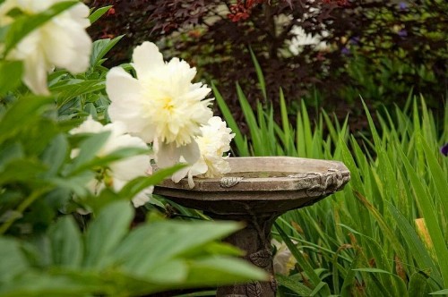 Bar Harbor Manor - image 21