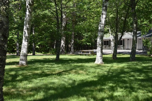 Acadia Pines Motel - image 8