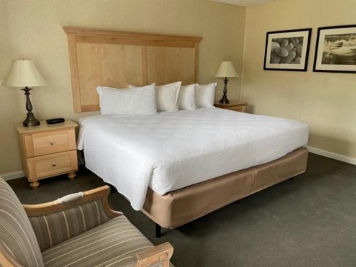 Moseley Cottage Inn and The Town Motel - image 4