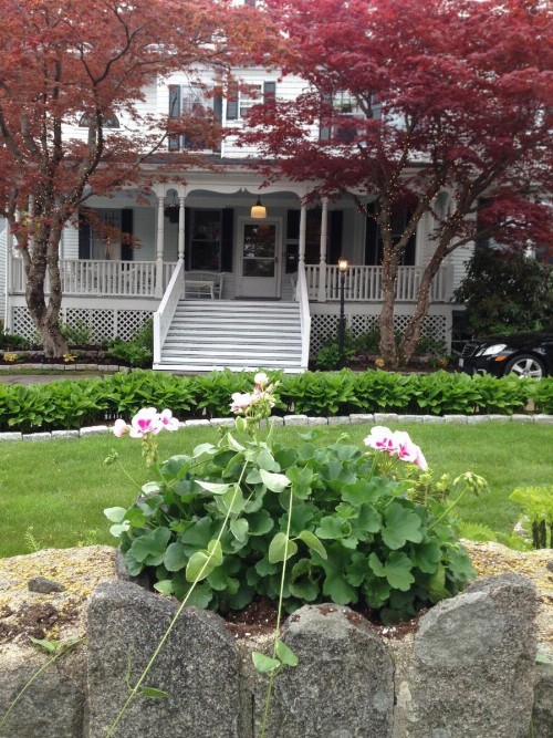 Moseley Cottage Inn and The Town Motel - image 8