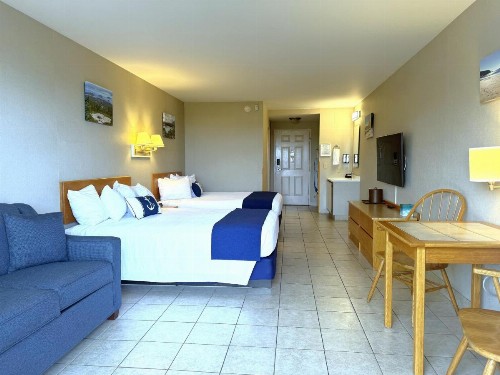 Atlantic Eyrie Lodge - image 33