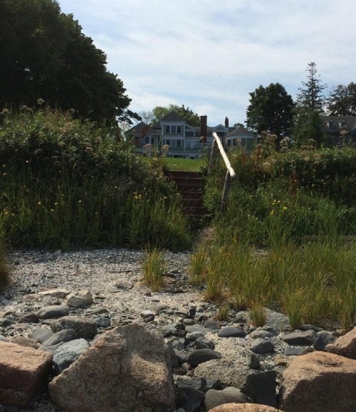 Saltair Inn Waterfront B&B - image 10
