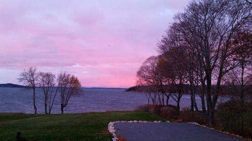 Saltair Inn Waterfront B&B - image 19