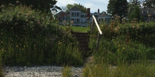 Saltair Inn Waterfront B&B - image 5