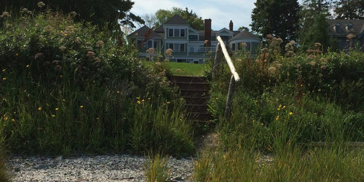 Saltair Inn Waterfront B&B - image 5