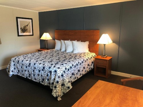 Edenbrook Motel - image 4