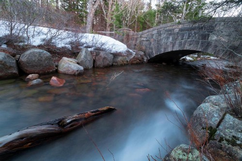 Otter Creek Acadia House - image 6