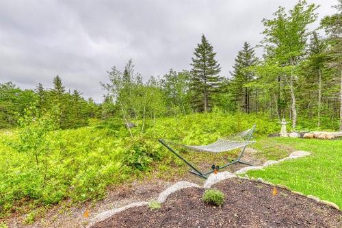 Cadillac Mountain Overlook - image 9
