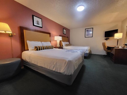 Stardust Inn - image 32