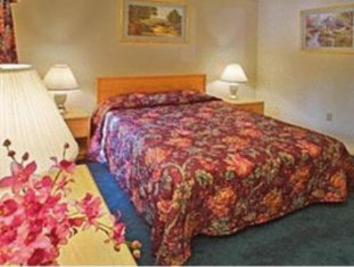 Nordic Village Condominium Resort - image 2